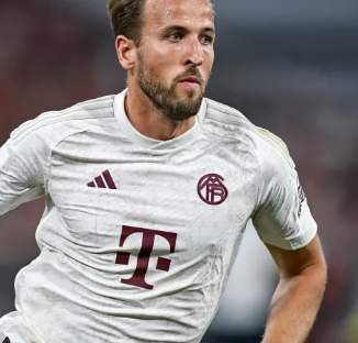 可以窥见他 可以窥见他