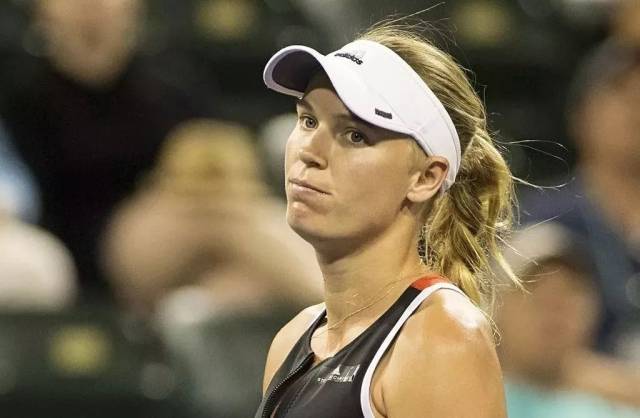 来为后续引 来为后续引