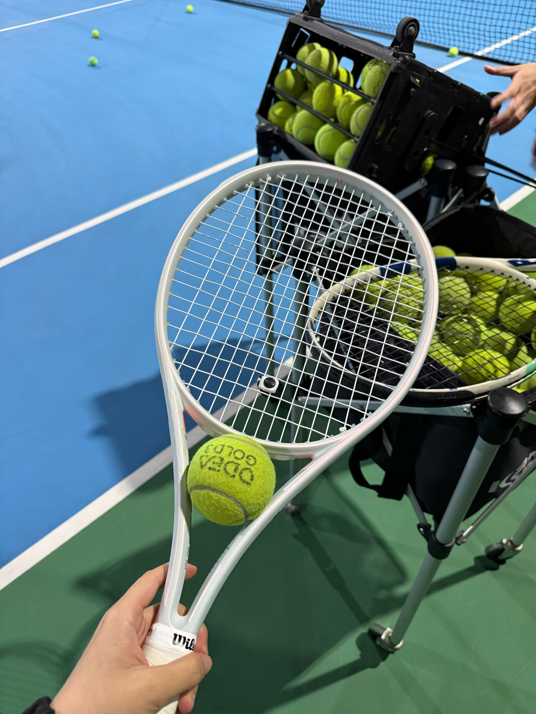 乐部争相追 乐部争相追