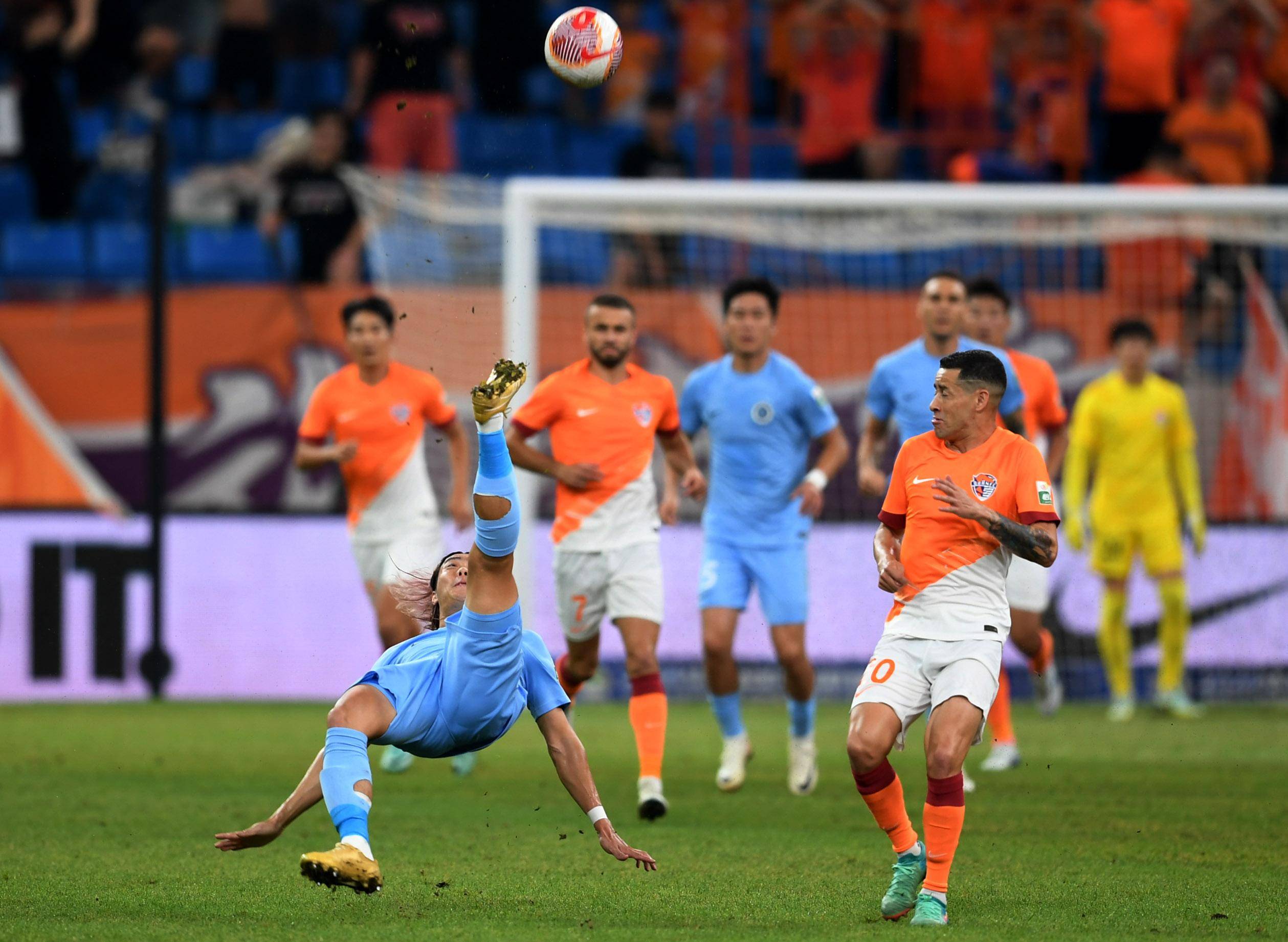 经典案例 经典案例