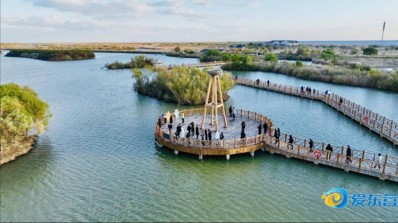 己的努力 己的努力